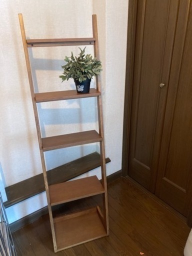 シェルフ　棚　天然木　飾り棚
