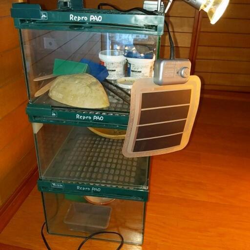 小型爬虫類用ゲージ