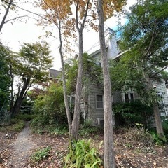【あげます】先着順　薪　木材　(条件あり)