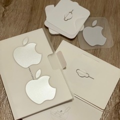 iPhone iPad  sim ピンの画像