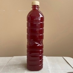 PSB(光合成細菌)