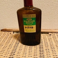 新品未開封　加美乃素❗️