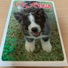 のら犬物語、犬たちをおくる日　