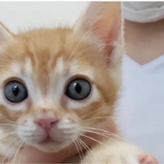 堕胎手術中に産まれた奇跡の子