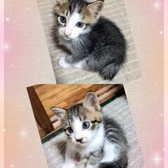 里親様が決まりました😊