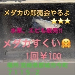 宮崎県のメダカ｜イベント情報｜ジモティー