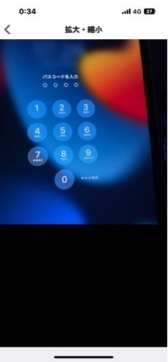 iPadミニ4