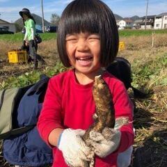 【11月1日】親子で体験！さつまいも掘り🍠