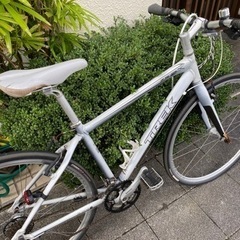 トレック　Trek  クロスバイク　白　自転車の画像