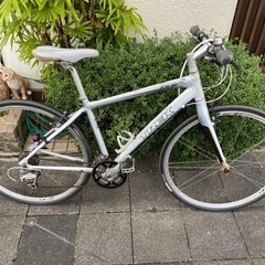 トレック　Trek  クロスバイク　白　自転車