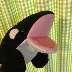 シャチのパペットぬいぐるみの画像