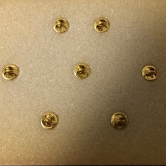 🚄🚃🚆JR ピンバッチ の画像