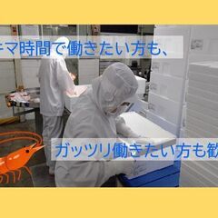 ＼未経験歓迎／工場での黙々作業！シニアも活躍中！の画像