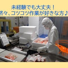  ＼未経験歓迎／工場での黙々作業！シニアも活躍中！の画像