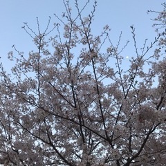 友達つくりませんか？