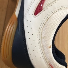 NIKEシューズの画像