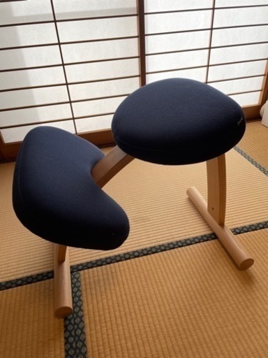 バランスチェア　イージー　ネイビー