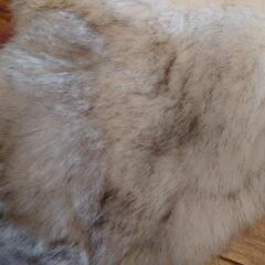 EMODA♡ﾌｱｰｱｰﾑ♥2color 2着の画像