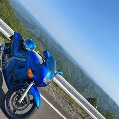 ZZR250 売ります！