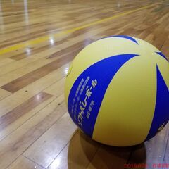 ソフトバレーボール体験会11月13日(日)IN亀岡