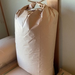 令和4年香川県産コシヒカリ
