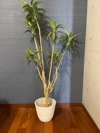 フェイクグリーン　観葉植物　ニトリ　鉢付き