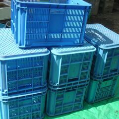 みかんキャリーの画像