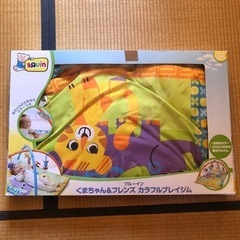 ブルーイン　くまちゃん&フレンズ　カラフルプレイジム