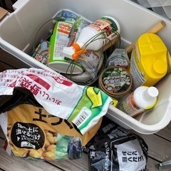 家庭菜園の色々
