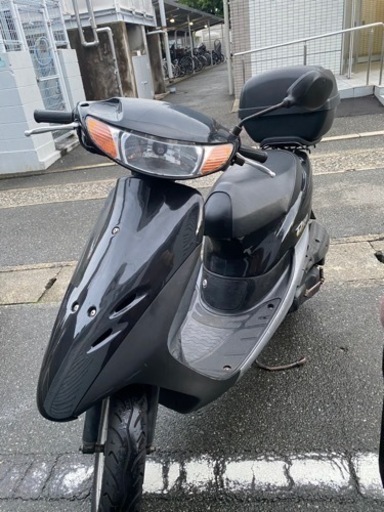 [本日限定]DIO ※必ず説明欄確認してください。