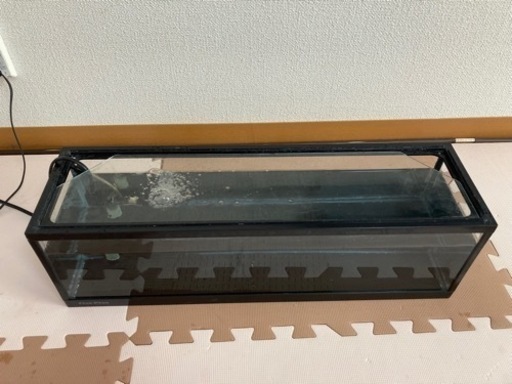 60cm水槽(蛍光灯ライト付き)