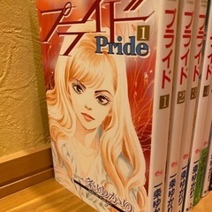 値下げ　一条ゆかり　プライド全12巻　有閑倶楽部全19巻