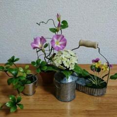 ○樹脂粘土で山野草を作りましょう♪10月は多肉植物の画像