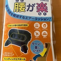 新品　日本製　腰が楽　クッション