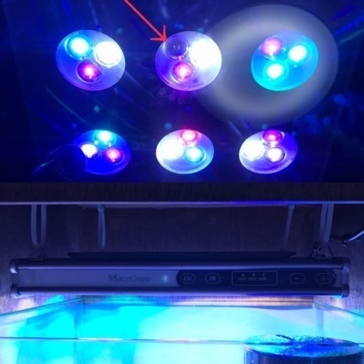 【決まりました】オーバーフロー水槽セット　システムLED　キャノピー　クーラー　海水魚　サンゴ