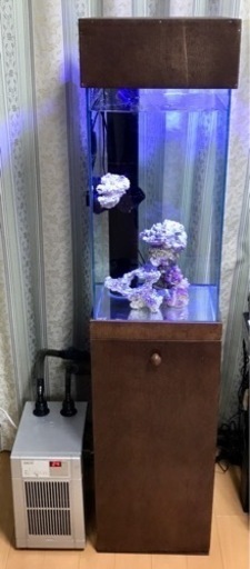 【決まりました】オーバーフロー水槽セット　システムLED　キャノピー　クーラー　海水魚　サンゴ