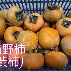 【今年最後渋抜11/29出来上り】よこの柿(約2キロ、種無し)