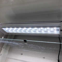 ADA36cm水槽とアクアスカイ361の画像