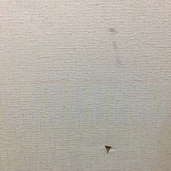 障子　2枚セットの画像