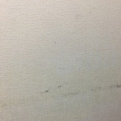 障子　2枚セットの画像