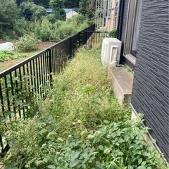 庭木の剪定/草刈り/伐採/抜根承ります！
