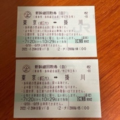 新幹線チケット　東京（都区内）掛川間
