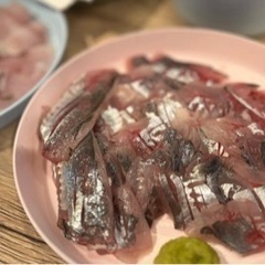 はじめての釣り体験！一緒に釣って食べよう！