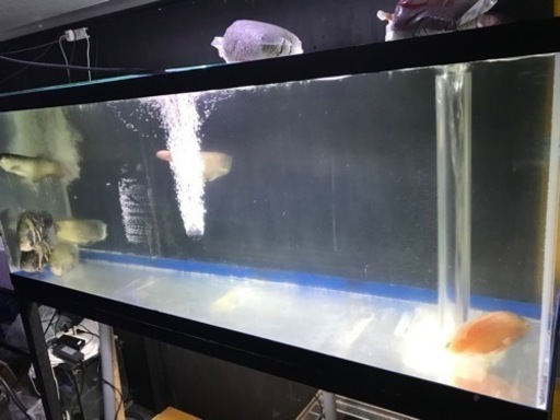 1800×700水槽オーバーフロー水槽　1800水槽　アクリル水槽