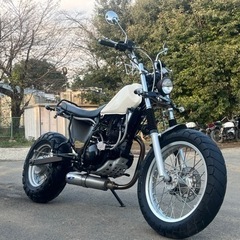 TW225 絶好調　