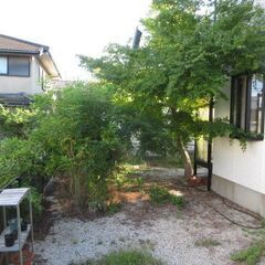 売り家防草工事植木の徹去草刈り便利屋格安