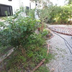 売り家防草工事植木の徹去草刈り便利屋格安 - 便利屋
