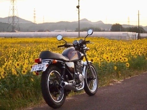 お買い上げいただきました、ありがとうございます、マジョーラ　クラブマン5型　13000キロ台