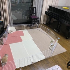 横浜　いずみ野フルート教室　生徒募集の画像