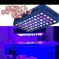 照明ブラックボックスの画像